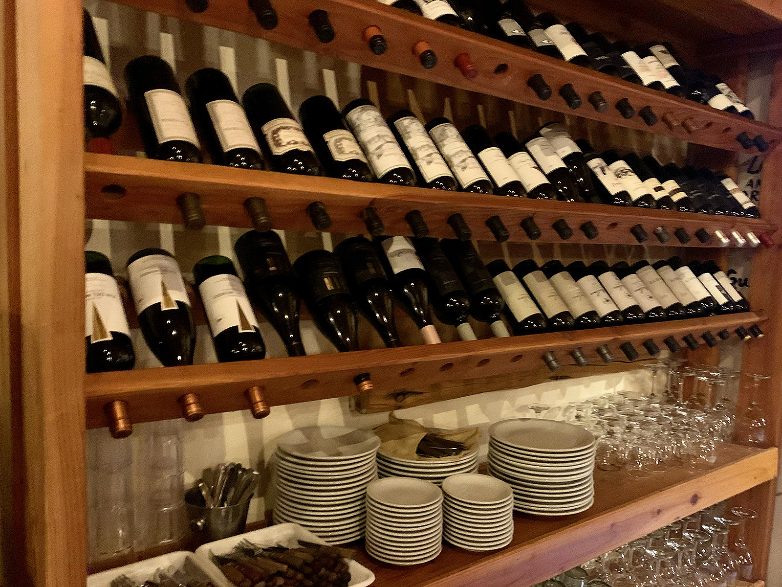 radales-pehuenia-vinos